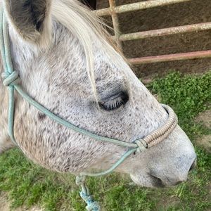 Meet your Posher, Ariana